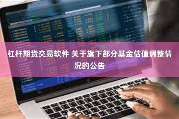 杠杆期货交易软件 关于旗下部分基金估值调整情况的公告