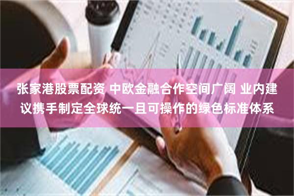 张家港股票配资 中欧金融合作空间广阔 业内建议携手制定全球统一且可操作的绿色标准体系