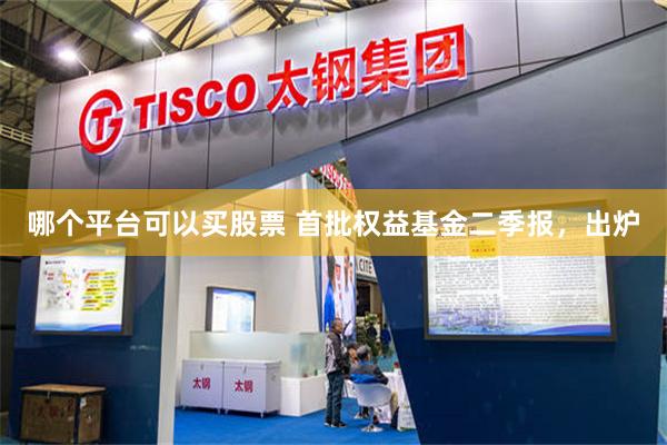 哪个平台可以买股票 首批权益基金二季报，出炉